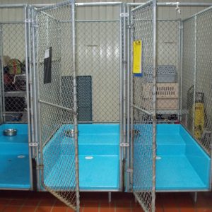 Three of the dogs kennels