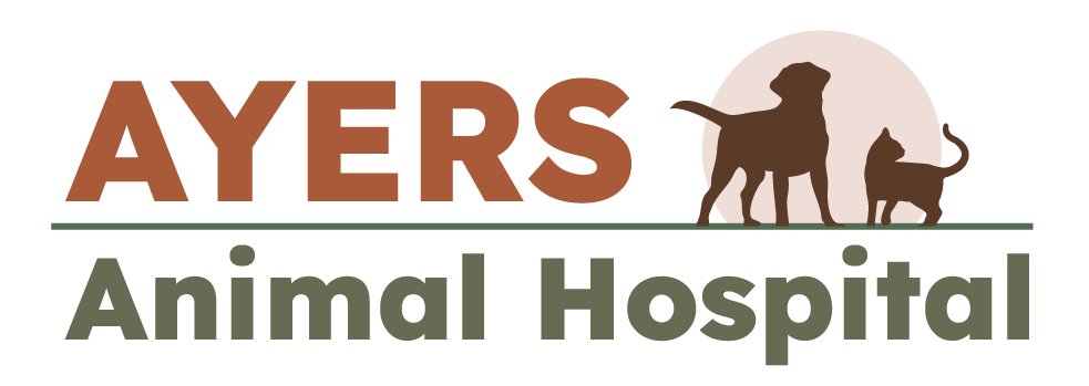 Ayers Animal Hospital